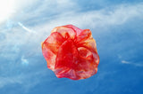 Mini Scrunchie in Tequila Sunrise Tie-Dye